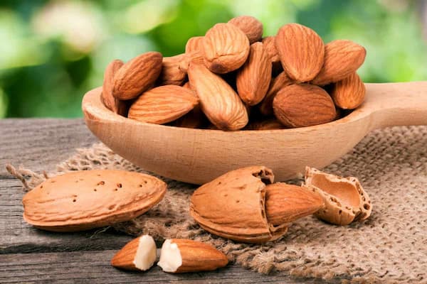 قیمت خرید مغز بادام ربیع + فروش ویژه